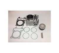 Gruppo Termico Cilindro con Pistone Completo 9501C010