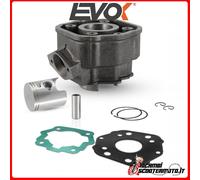 GRUPPO TERMICO CILINDRO EVOK 50CC D.39,9 SP 12 DERBI SENDA SM X-TREM 50 2003 100