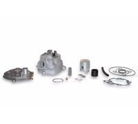 GRUPPO TERMICO CILINDRO MALOSSI MHR REPLICA 40,3 BETA SUPERMOTARD RR 50 2T LC