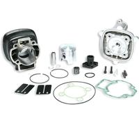Gruppo Termico Cilindro Motore Malossi Ghisa D.47 H2o Derbi Gp1 50
