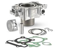 GRUPPO TERMICO COMPLETO EVOK HONDA SH 300 A I ABS 2007 2008 2009 2010 2011 2012