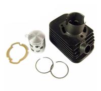 GRUPPO TERMICO D.43 SP.12 PER Piaggio Grillo 50 2T 89 93 KT00066 DR