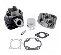 GRUPPO TERMICO IN GHISA ARIA OLYMPIA DIAMETRO 47 PIAGGIO ZIP 50 2T 2000->
