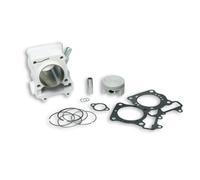 GRUPPO TERMICO MALOSSI 3112044 PER PIAGGIO NGR MC3 PUREJET-POWER PUREJET