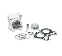 GRUPPO TERMICO MALOSSI 3112044 TECH Ø 47 IN GHISA CON SPINOTTO Ø 12