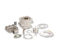 Gruppo Termico Malossi MHR D 36 in alluminio H2O per Mini moto POCKETBIKE