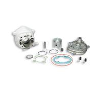GRUPPO TERMICO MALOSSI 318430 Ø 47 IN ALLUMINIO CON SPINOTTO Ø 10