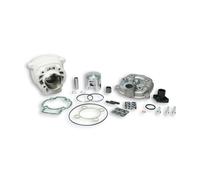 GRUPPO TERMICO MALOSSI 318466 PIAGGIO NRG EXTREME MC2 MC3 DD POWER