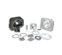 GRUPPO TERMICO MALOSSI 318723 Ø 47 IN GHISA SPINOTTO Ø 10