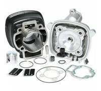 GRUPPO TERMICO MALOSSI D.47 SPINOTTO 12 DERBI GP1 OPEN 50 2T LC 317353