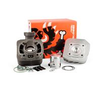 Gruppo Termico Malossi ghisa 50 Peugeot verticale AC