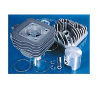 GRUPPO TERMICO POLINI 1420147 Ø 47 GHISA CON SPINOTTO