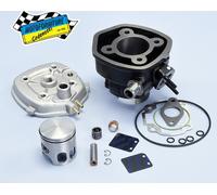 Gruppo Termico POLINI 166.0083 D.47 APRILIA NETSCAPER -SR 50 2T mod.94,95,96 H2O