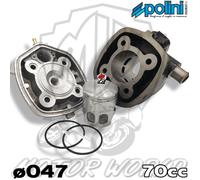 166.0083 GRUPPO TERMICO POLINI SPORT 70CC D.47 MINARELLI ORIZZONTALE H2O SP.10 G