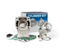 Gruppo Termico Polini, Aprilia RS 125 (Rotax 122 / 123), d=60mm