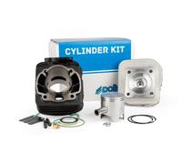 Polini Kit Cilindro 70cc Ø47 Honda Sfx 50