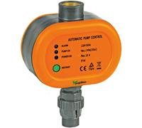 Papillon 8060143 - Di pressione elettronico per gruppo