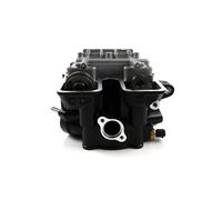 Gruppo testata cilindro albero a camme for KLX250 KLX300 Loncin CR6 LX300-6A Voge 300R/RR/GY 300DS 300AC YF300(Black)