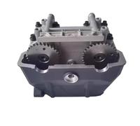 Gruppo testata cilindro for moto con coperchio cilindro valvola albero a camme for CF 250-A 250NK 250SR(With camshaft valves)