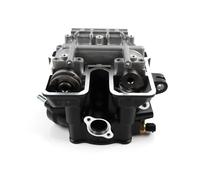 Gruppo Testata Cilindro Moto Con Valvole E Albero A Camme For LX300-6D VE 300DS(Black)