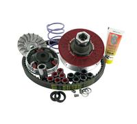 Gruppo Trasmissione Malossi MHR Overrange 2013 Piaggio corto