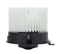 Gruppo ventola motore ventilatore riscaldatore AC Sostituzione di prestazioni premium Materiale metallico ad alta resistenza Installazione semplice per Rogue Select VI X Trail