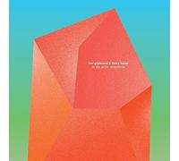 Grydeland Ivar, Kaiser Henry - In The Arctic Dreamtime