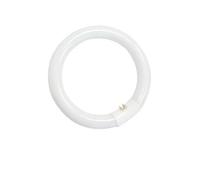 gsc evolution Tubo fluorescente circolare T9 40W G10q 6400K