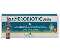 GSE AEROBIOTIC JUNIOR