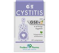 GSE CYSTITIS COMPRESSE