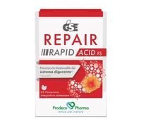 GSE REPAIR RAPID ACID FS 36CPR