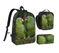 GSGCSBYMLG Set con due pappagalli su palma verde, 43,2 cm, borsa per la scuola, portapenne, borsa per il pranzo, Nero , Taglia unica, Portamonete