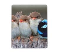 GSGCSBYMLG Tappetino per mouse con stampa di quattro uccellini, 17,8 x 22,9 cm, lavabile con bordi cuciti delicati