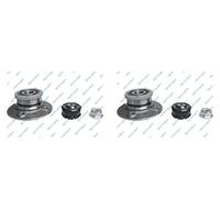GSP 2x Cuscinetto Ruota Mozzo Posteriore per Renault Kangoo Nissan Kubistar Box
