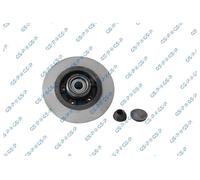 GSP 2X Disco Freno Posteriore Completo Per Renault Scénic III Grand JZ0/1