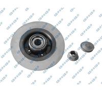 GSP 2x Disco Freno Posteriore Pieno per Renault Grand Scénic II JM0 /