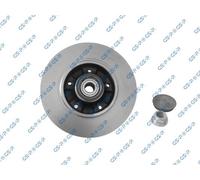 GSP 2x Disco Freno Posteriore Pieno per Renault Megane III Hatchback BZ0 DZ0/1