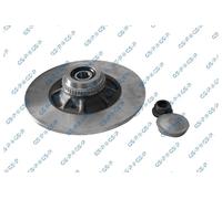 GSP 2x Disco Freno Posteriore Sinistra Destra Pieno per Renault Clio II Megane