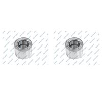 GSP 2X Mozzo Ruota Kit Cuscinetti Anteriore Per Iveco Daily IV Pianale