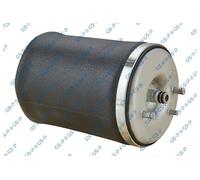 GSP 35100161 Molla pneumatica, Autotelaio per BMW