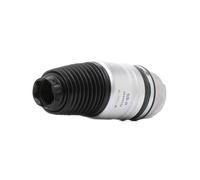 GSP 35200242 Molla pneumatica