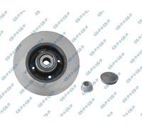 GSP 2x Disco Posteriore Pieno per Renault Clio III BR0/1 CR0/1 KR0/1 F/JP0