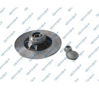 GSP 2x Disco Freno Posteriore Sinistra Destra Pieno per Renault Clio II Megane