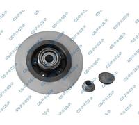 GSP 2X Disco Freno Posteriore Completo Per Renault Scénic III Grand JZ0/1