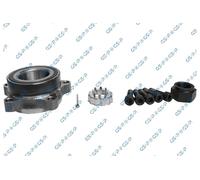 GSP 9249001K Kit cuscinetto ruota per FORD
