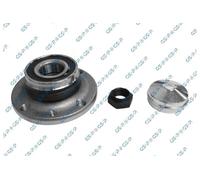 GSP Cuscinetti Ruota Set Posteriore Doppio Per Fiat Panda 169 Lancia Y