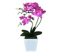 GSZCCZS 15 "Phalaenopsis Artificiale con Vaso di Porcellana Silk Interno Orchid Fine Piante in pentola Fucini Fiorini Accordi per i centrotavola da Tavolo da Soggiorno