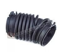 GT-BERGMANN GT52-010 Tubo aspirazione filtro aria per FORD C-MAX (DM2)
