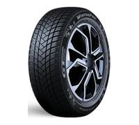 GT Radial WinterPro2 (205/55 R17 95H)