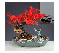 GTHTUHFD Albero artificiale bonsai artificiale artificiale albero bonsai artificiale albero di ceramica forma di pietra ufficio casa soggiorno decorazione ufficio decorazione albero artificiale Ind,B
